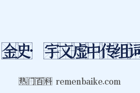 金史·宇文虚中传组词是什么意思的图片